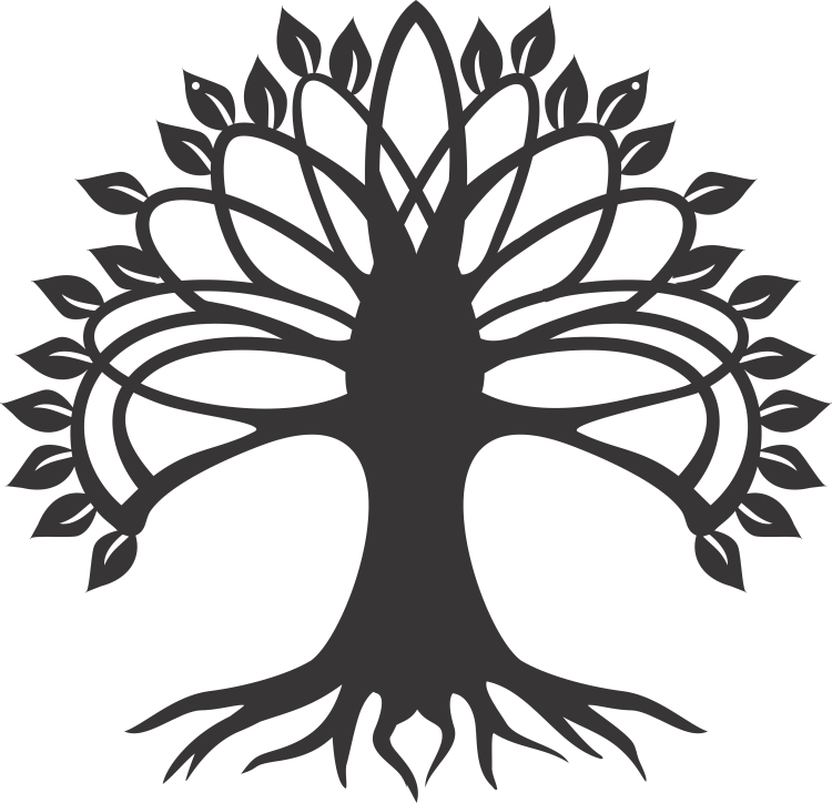 DS5001.png