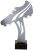 PN1011_srebro.png